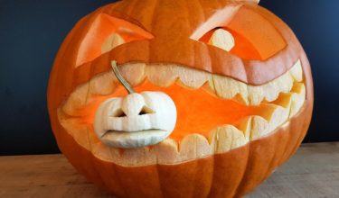 Propozycja sięga dna!