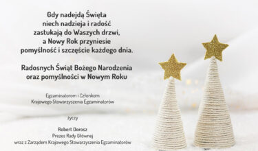 Zdrowych i spokojnych Świąt Bożego Narodzenia